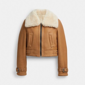 COACH® Cropped Shearling Aviator Frakke Dame Brune Flerfarvede | DKLIU690