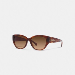 COACH® Signature Rounded Cat Eye Solbriller Dame Brune | DKNWN384