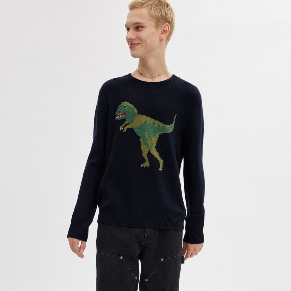 COACH® Rexy Crewneck Sweater Dame Mørkeblå | DKXYB599