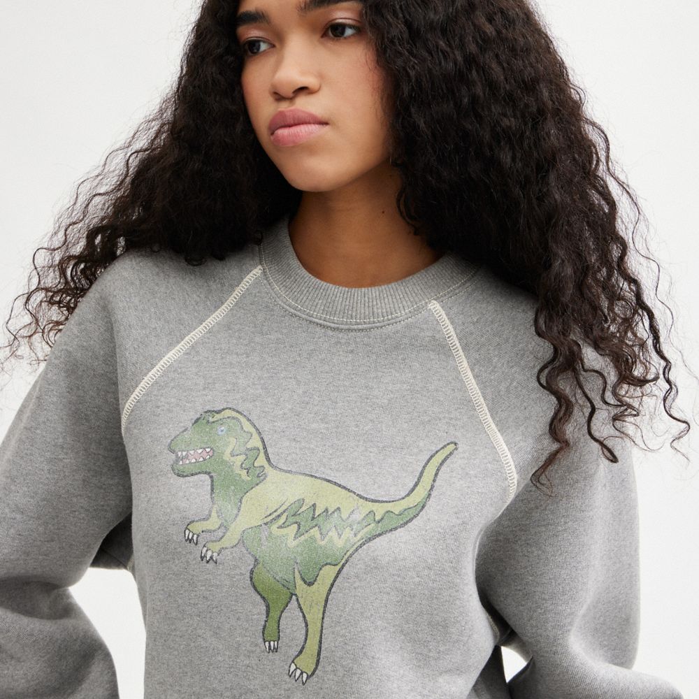 COACH® Rexy Crewneck Sweatshirt Dame Grå | DKBEH591