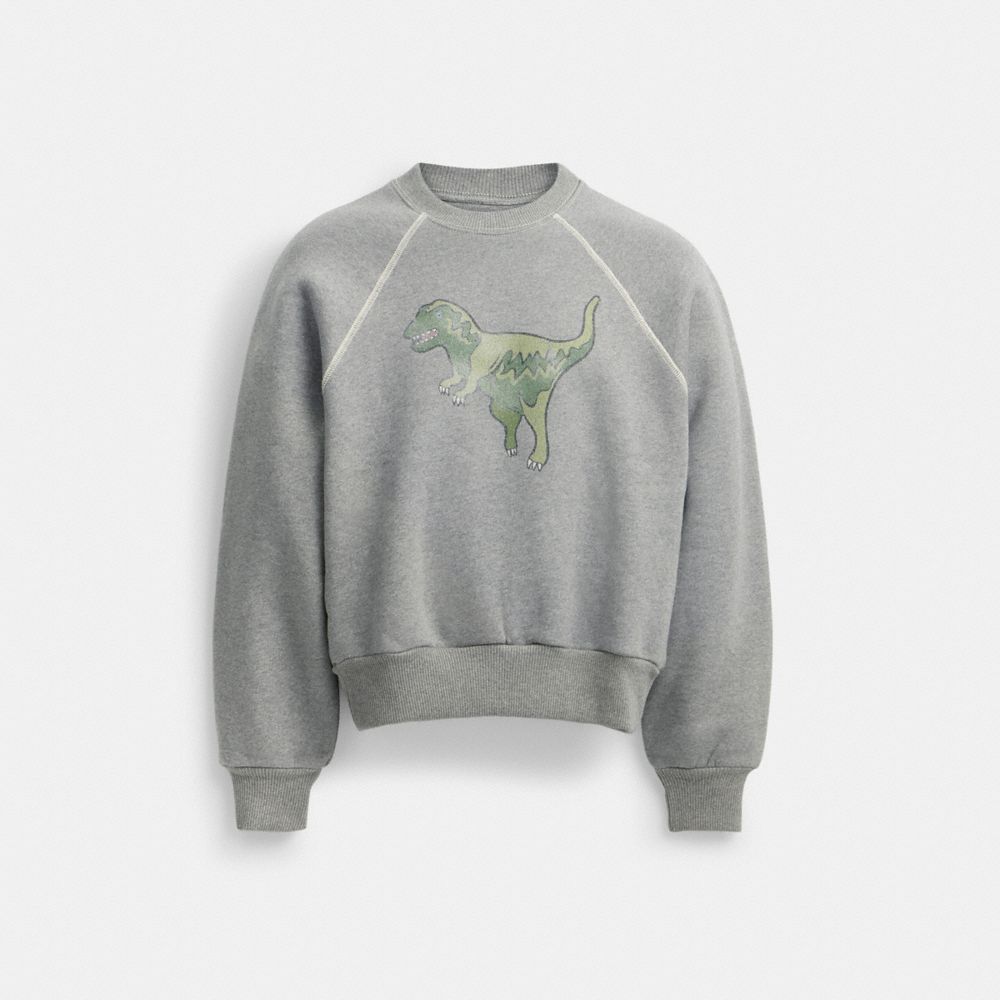 COACH® Rexy Crewneck Sweatshirt Dame Grå | DKBEH591