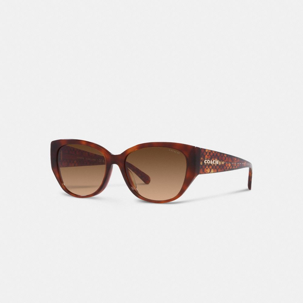 COACH® Signature Rounded Cat Eye Solbriller Dame Brune | DKNWN384