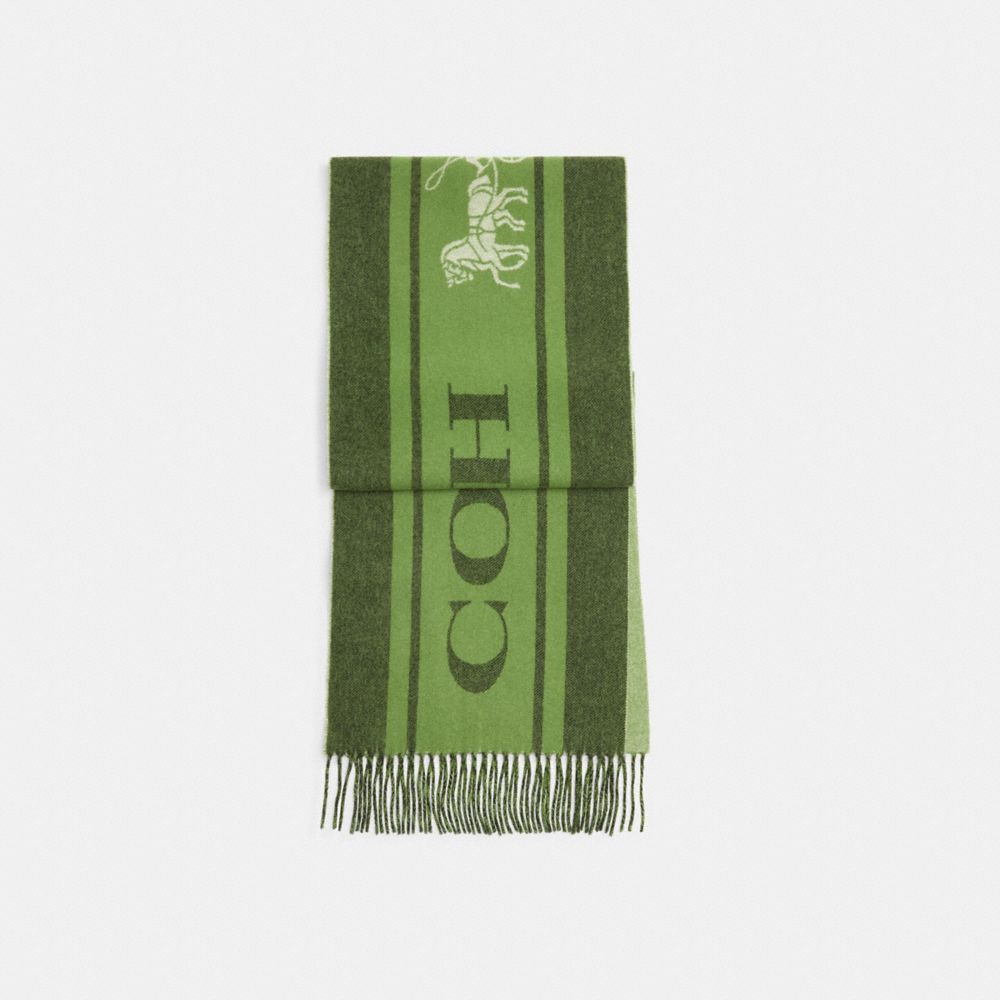 COACH® Varsity Sport Cashmere Muffler Tørklæde Herre Grøn | DKVRF805